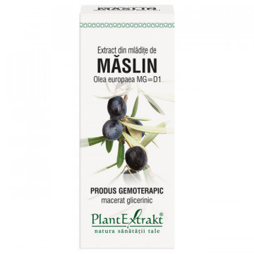 Extract din mladite de maslin (OLEA EUROPAEA)