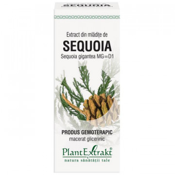 Extract din mladite de sequoia (SEQUOIA GIG.)