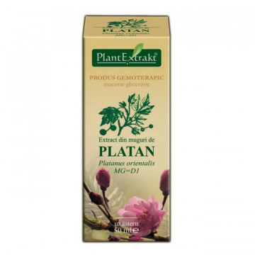 Extract din muguri de platan (PLATANUS ORIENTALIS)