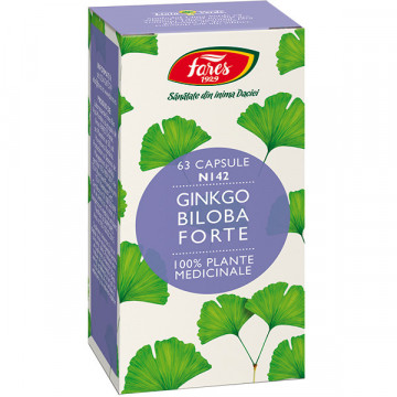 Ginkgo Biloba Forte, N142 - 63 cps