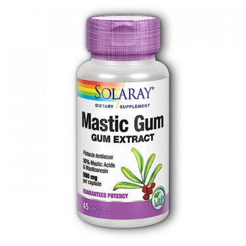 Mastic Gum - 45 cps