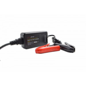 Aparat de spalat cu presiune Gaspper GP4000BD, 275 bari, benzina 4 timpi, 18l/min., starter manual + electric