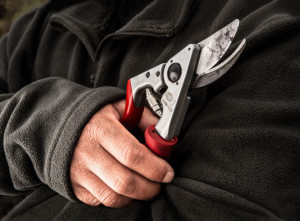Makaze voćarske FELCO 7