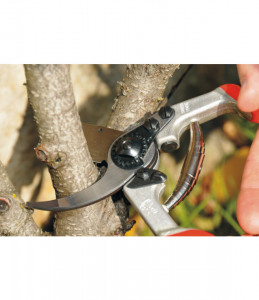 Makaze voćarske FELCO 13