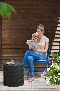 Tabure frigo cool stool 39l - braon KETER