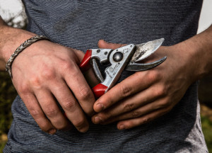 Voćarske makaze FELCO 8