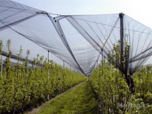 Mreža protivgradna 2x100m 40g 200m2