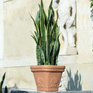Saksija ZEUS - bela 21L DiMartino