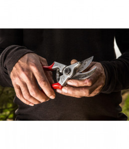 Makaze voćarske FELCO 4