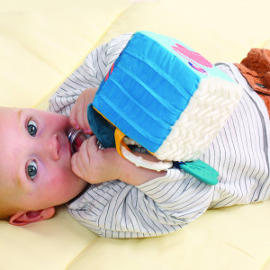 LUDI Cub activitati frunza