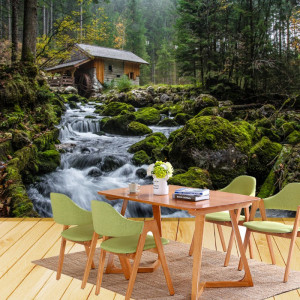 Fototapet 3D Moara de Apa in Padure, Austria BPC33