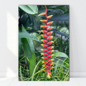 Tablou Canvas Bromelia AAG31