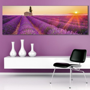 Tablou Canvas Camp de Lavanda La Apus FLV10