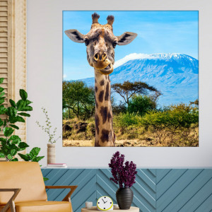 Tablou Canvas Girafa Simpatica ASJ20