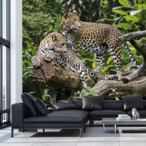 Fototapet 2 Leoparzi pe Butuc de Lemn ATGR127