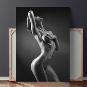 Tablou Canvas Forme Feminine Sexy SX79
