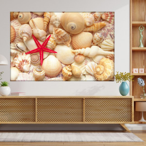 Tablou Canvas Ocean, Steluta de Mare Rosie cu Scoici ASCI5