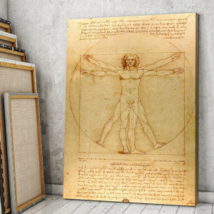 Tablou Leonardo da Vinci Omul Vitruvian DAV1