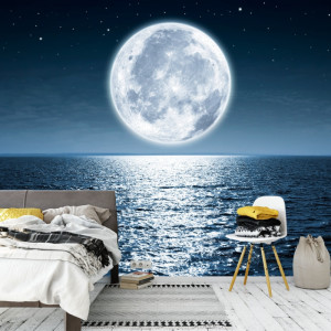 Fototapet 3D Reflexia Lunii in Mare OUS69