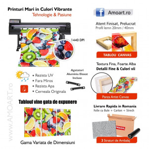 Tablou Canvas Artistic Femeie cu Fluturi Multicolori MART27