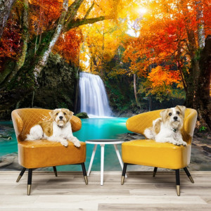 Fototapet 3D Peisaj Fabulos cu Cascada CCR42