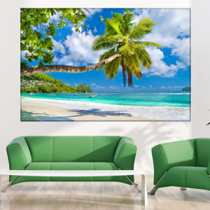 Tablou Canvas Palmier la Ocean PMO131