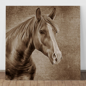 Tablou Canvas Portret Cal Sepia HPS6