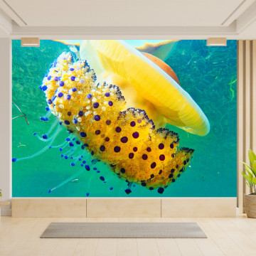 Fototapet 3D Meduza Jelly Yellow ACU48