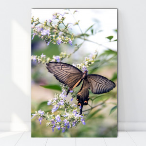 Tablou Canvas Maretia Fluturelui printre Flori AAG14