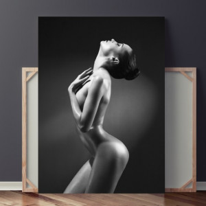 Tablou Canvas Forme Feminine Sexy SX80