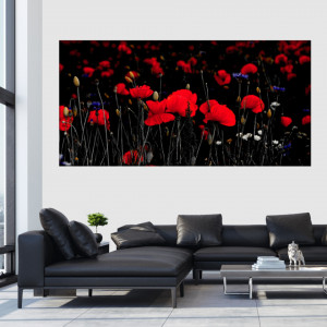 Tablou Canvas Maci Rosii cu Fundal Negru MFF18