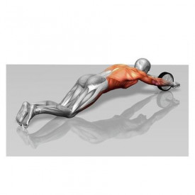 Roata antrenament fitness Live Up Sports cu manere confortabile, pentru abdomene, tonifiere musculatura