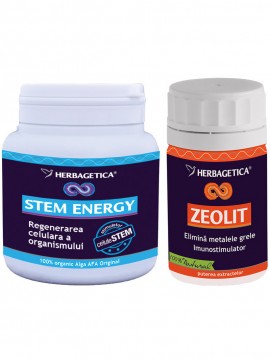 ENERGY STEM 250ML+ZEOLIT 60CPS GRATIS HERBAGETICA