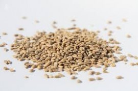 SEMINTE FLOAREA SOARELUI DECOJITE 125GR SPRINGMARKT