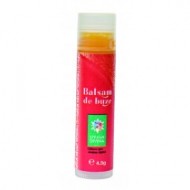 BALSAM DE BUZE CU CATINA Santo Raphael