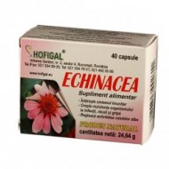 ECHINACEEA 40CPS HOFIGAL