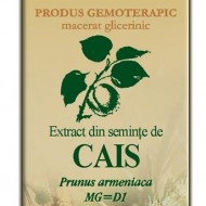 EXTRACT SEMINTE CAIS 50ML Prunus armeniaca MG=D1 PLANTEXTRAKT