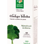 GINGKO BILOBA 60 cp Santo Raphael