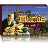 MUMIE EXTRACT RASINA+CASTAN 60CPR DAMAR GENERAL