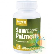 SAW PALMETTO 60cps SECOM