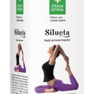 SILUETA TINCTURA 100ml SANTO RAPHAEL