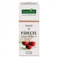 TINCTURA PADUCEL 50ML (TM) PLANTEXTRAKT