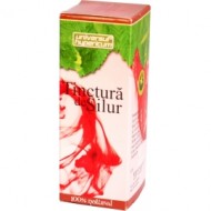 TINCTURA SILUR 50ML HYPERICUM