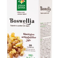 BOSWELLIA Flacon 60 cps 500 mg/capsula NOU!!!! SANTO RAPHAEL