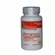 GARLIFOR 500MG 60CPS ADAMS VISION