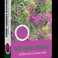 LUCERNA VERDE 200GR(40DZX5GR) DEEP GREEN