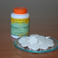 MELTONIC T EUCALIPT (RESPIRATOR) 50CPR INSTITUT APICOL