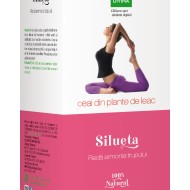 SILUETA AMESTEC DE PLANTE PENTRU CEAI 50g SANTO RAPHAEL