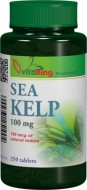 Alga marină (Sea Kelp) 100mg - 90 comprimate Vitaking