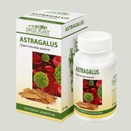 ASTRAGALUS 60CPR DACIA PLANT